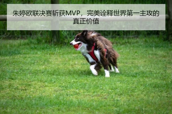 朱婷欧联决赛斩获MVP，完美诠释世界第一主攻的真正价值